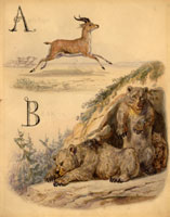 E.H. Griset (d.1870) A Is For Antelope, B Is For Bear