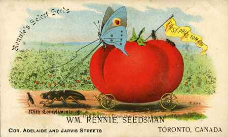 Rennie Seeds: Return from the Insect Fair